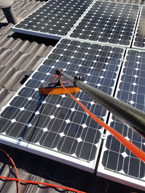 Solar panel cleaning brush